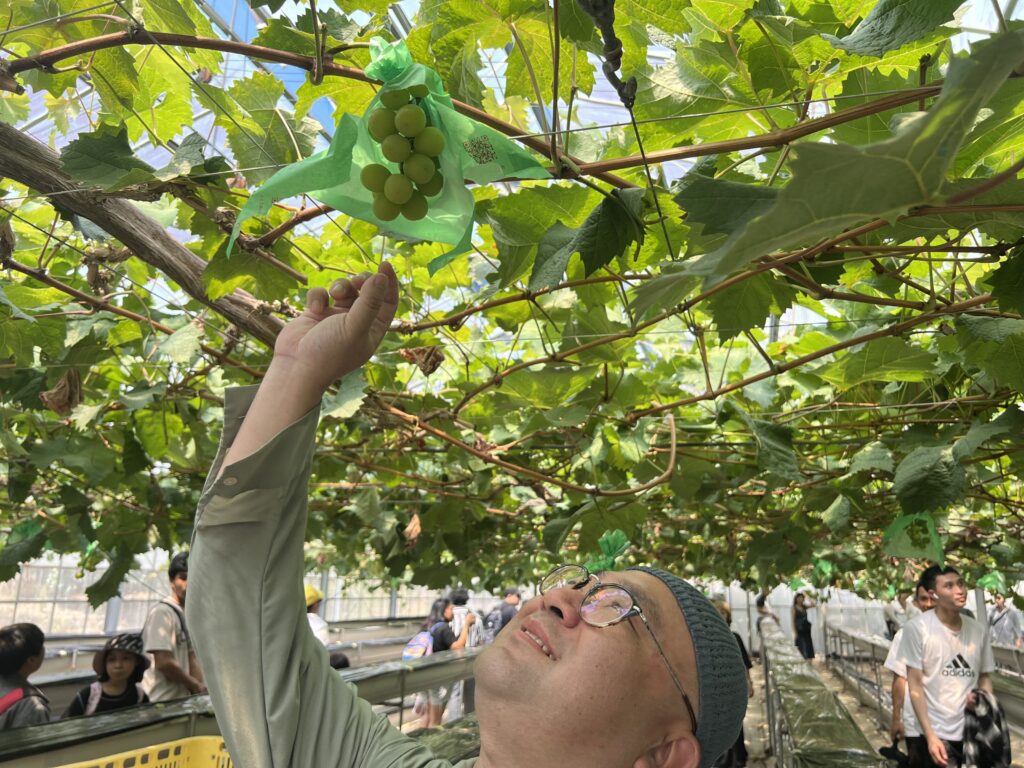 社員旅行ブログ第二弾！マスカット狩りとBBQ！🍇