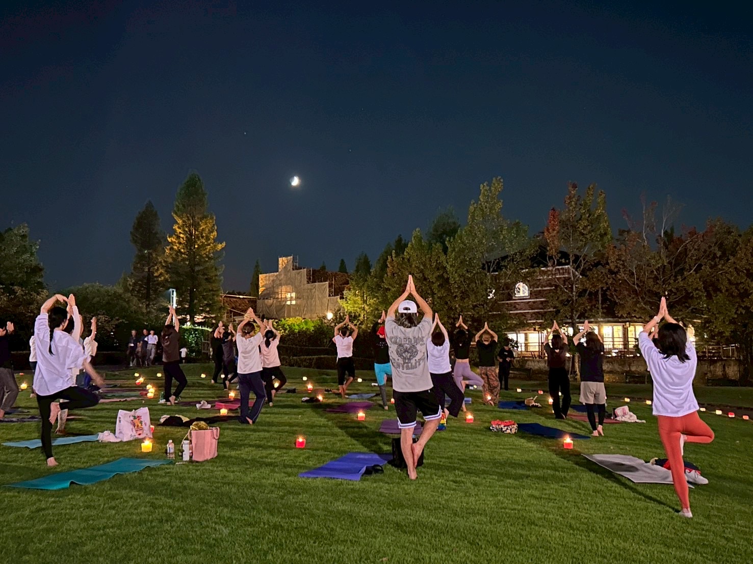 【従業員レポート】デンパークで幻想的な夜を 【従業員レポート】デンパークで幻想的な夜を