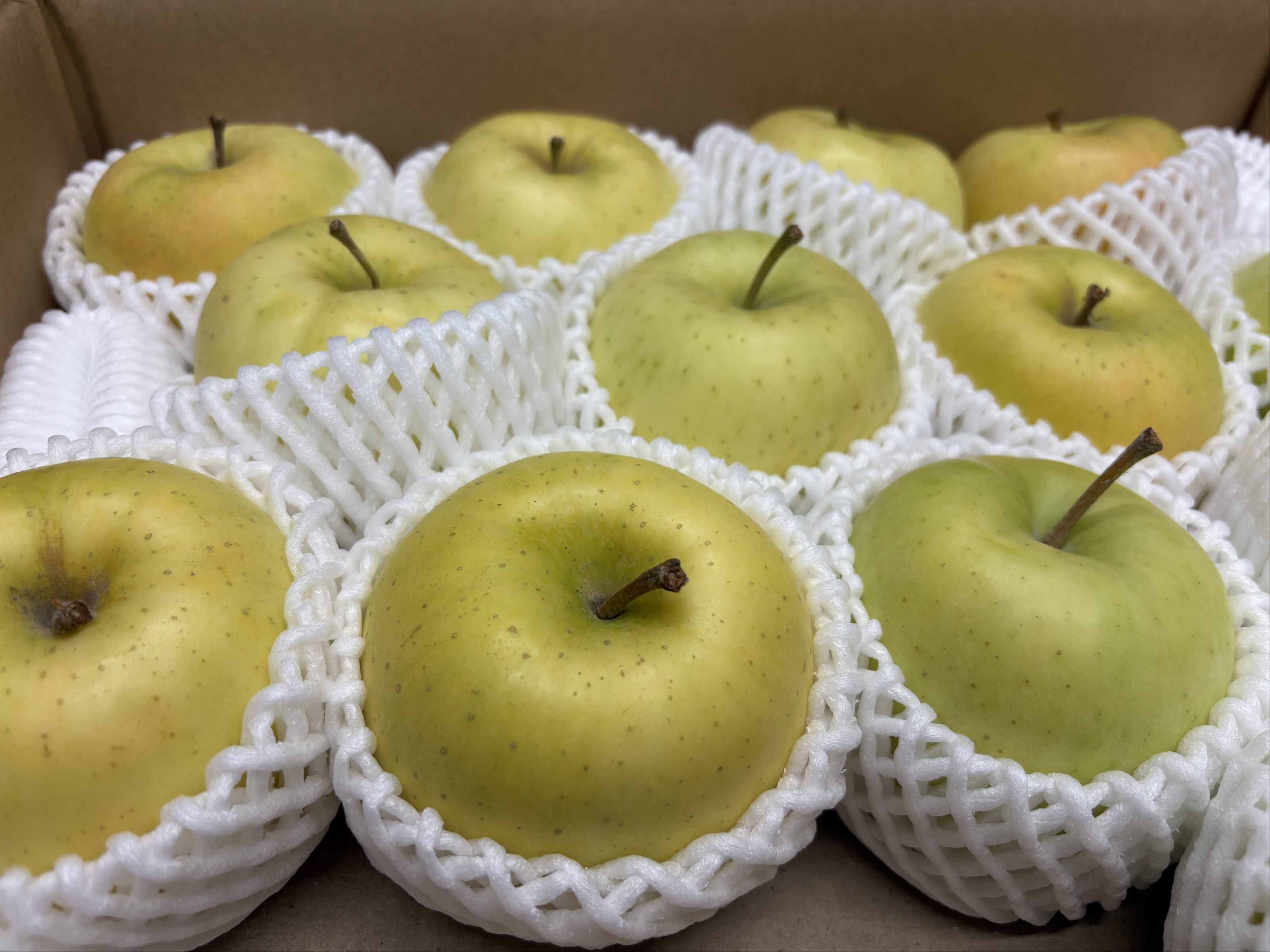 今年も実りの秋！藤塗装に採れたての美味しいリンゴが届きました🍎 