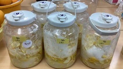 🍋無農薬レモンと自家果実でつくる、酵素ドリンク🍊