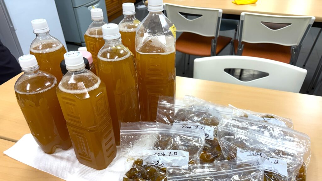 ✨完成した梅の酵素ドリンクを配布しました✨